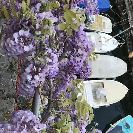 Casa Balcony Appartamento