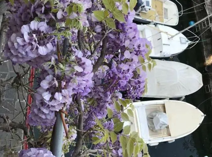 Casa Balcony Appartement